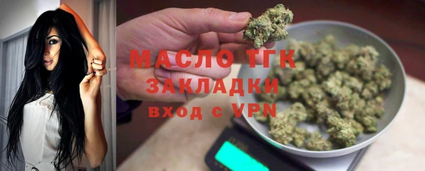стаф Аркадак