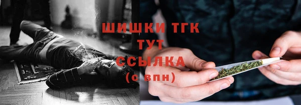 стаф Аркадак