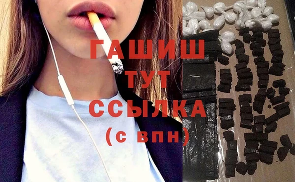 стаф Аркадак