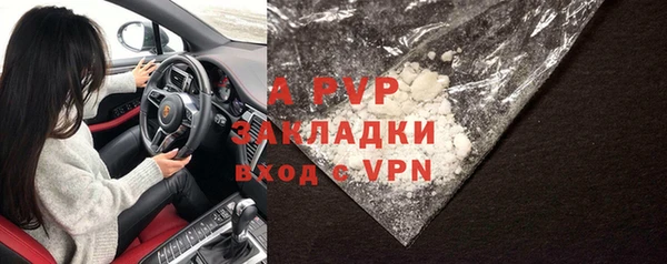 стаф Аркадак