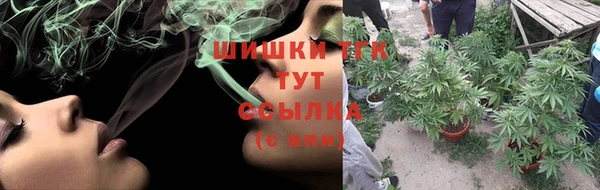 стаф Аркадак