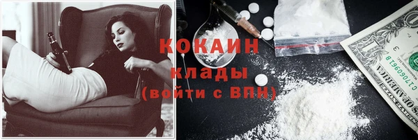 стаф Аркадак