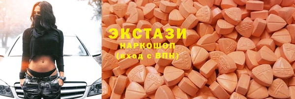 стаф Аркадак